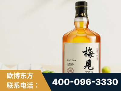 蚌埠-梅见青梅酒